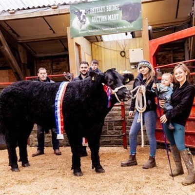 Christmas Primestock Show & Sale